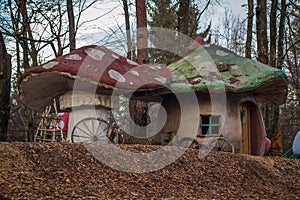 Mushroom houses in a forest