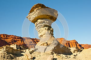 The Mushroom - Ischigualasto Provincial Park - Argentina