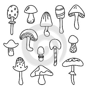 Mushroom isolated black cartoon outline set autumn concept