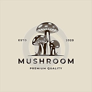 mushroom logo vector vintage illustration template icon graphic design. organic food sign or symbol for farm product with retro