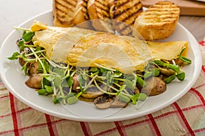 Mushroom and Microgreen Omelet photo