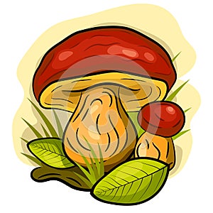 Mushroom organic logo. photo