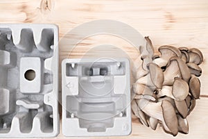 mushroom packaging solution. compostable packaging