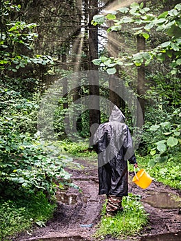Mushroom picker in a mixed forest while searching for mushrooms.