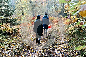 Mushroom pickers go to the forest for mushrooms along the path in autumn, teenage children in raincoats in autumn