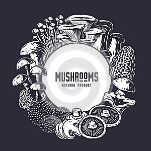 Mushroom picking. Mushrooms, fungus or fungi set