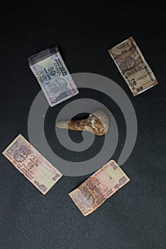 Mushroom placed on indian currency on a black textured background