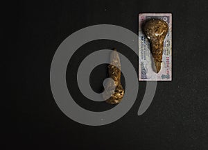 Mushroom placed on indian currency on a black textured background