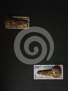 Mushroom placed on indian currency on a black textured background