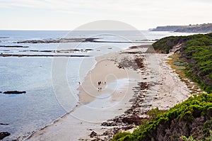 Mushroom Reef Marine Sanctuary - Flinders