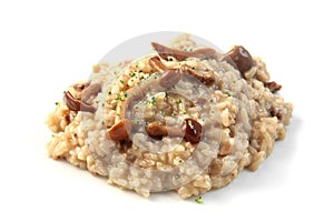 Mushroom risotto photo