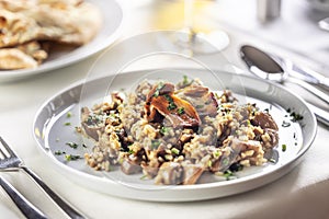 Mushroom risotto or speltotto made the Italian way, served on a plate in a trattoria