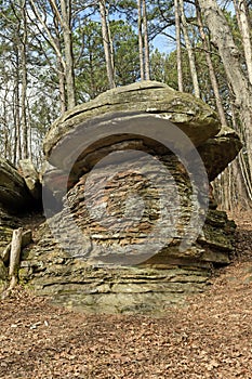 Mushroom Rock in the Forest