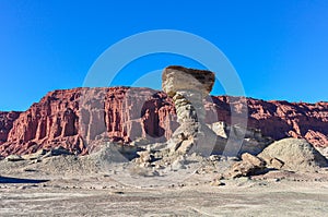 The Mushroom rock formation in the Ischigualasto National Park,