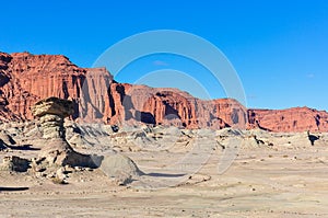 The Mushroom rock formation in the Ischigualasto National Park,