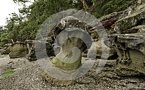 Mushroom Rock in Montague harbour, Galiano Island.Canada