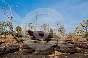 Mushroom rocks in Thailand Pha Taem national park