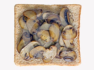 Mushroom sandwich