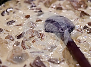 Mushroom sauce