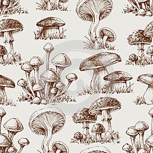 Mushroom seamless pattern