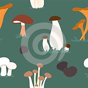 Mushroom seamless pattern, endless vector illustration of diverse mushroom on green background