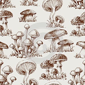 Mushroom seamless pattern photo