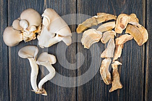 Mushroom-shaped figure of fresh and dried mushrooms