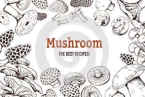 Mushroom sketch background. Organic food sketch with shiitake champignon truffle and oyster mushrooms. Vector doodle set