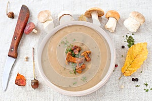 Mushroom soup