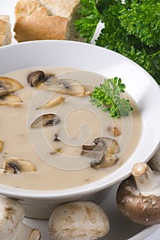 Mushroom Soup