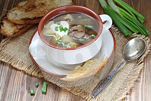 Mushroom soup with croutons, potatoes, sour cream and fresh onions photo