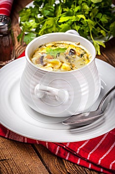 Mushroom soup with farfalline.