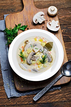 Mushroom Soup with Millet and Vegetables, Vegetarian Food