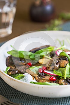 Mushroom with Spinach and Pomegranate salad