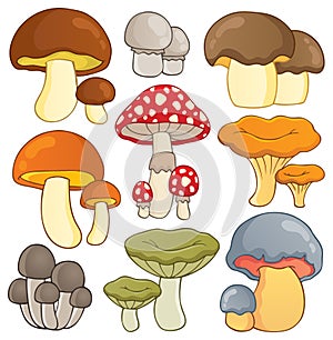 Mushroom theme collection photo