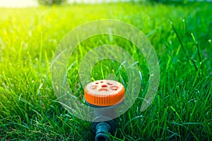 A mushroom type sprinkler is installed in a green grass lawn, close-up. Universal watering for the lawn in the garden in summer