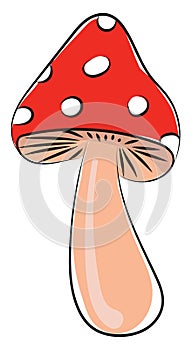 Mushroom, vector or color illustration