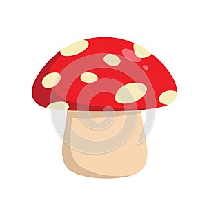 Mushroom Vector Illustration