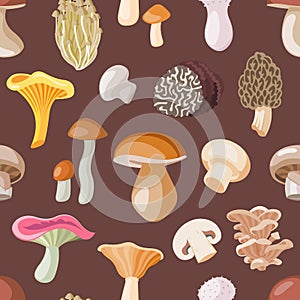 Mushroom vector natural fungus and mushrooming organic food illustration set of edible champignon isolated on background