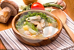 Mushroom vegetable soup