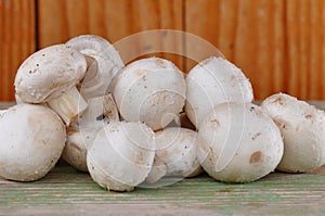 Mushroom on vintage table