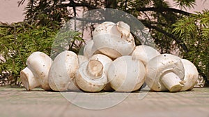 Mushroom on vintage table