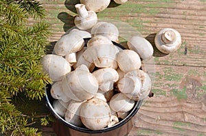 Mushroom on vintage table