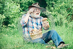 Mushrooming in forest, Grandfather hunting mushrooms over summer forest background. Grandfather with basket of mushrooms