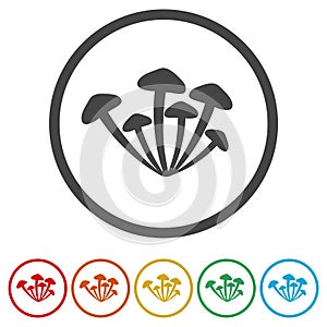 Mushrooming ring icon, color set photo