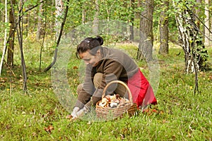 Mushrooming, woman picking mushrooms in the forest