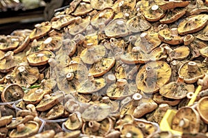 Mushroomon on market, in La Boqueria, market Barcelona