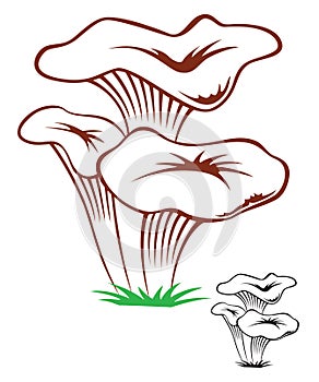 mushrooms