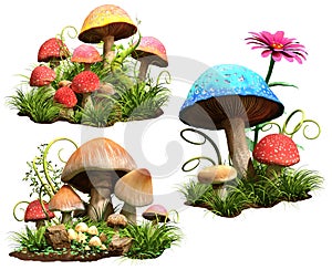 Mushrooms