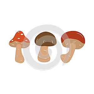 Mushrooms. Amanita, boletus, porcini mushroom. Vector isolated